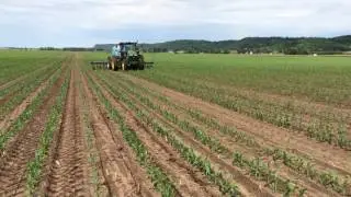 Side dressing field 18