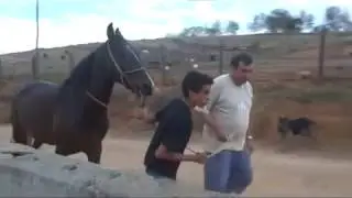 Ata Binmeyi Öğren Önce