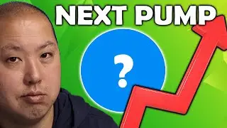 The Next Altcoin Crypto To Pump...