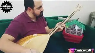 MTK - YANARIM
