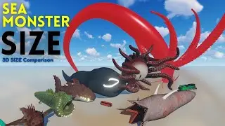 3D Sea Animals Size Comparison for 2024! 🐋