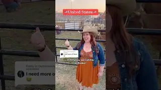 How British people feel about rodeos 🇬🇧🏇 #ukvsusa #britishvsamerican #rodeo #funny #british #usa