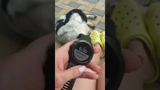 Дневник БегЛица / ЛайфХак как легко улучшить время пробежки 🏃‍♀️