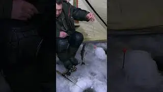 Рыбалка 5 баллов