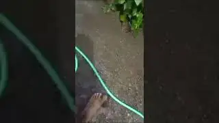 JASA SUMUR BOR
