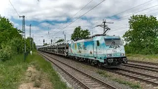 Sichtungen aus Saarmund 29.05.2021