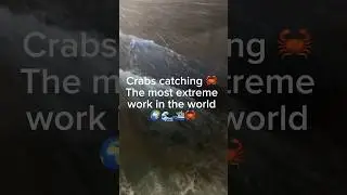 Работа для самых сильных мужчин ⚓️🦀