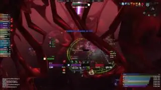 Perfection, EU Tarren Mill vs Il'gynoth Mythic, Havoc DH PoV