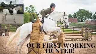 OUR FIRST WORKING HUNTER! / show vlog