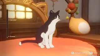 Feline Fortress Furrdyssey - Genshin Impact Event 4.5 [Day 4]