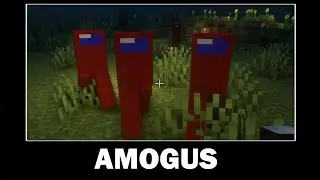 AMOGUS MEME | AMOGUS COMPILATION MINECRAFT #62