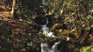 Bennett Falls