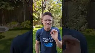 We lost HALF our traffic to learn this (Google Core Update) 