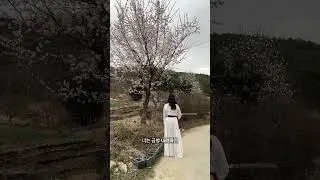 고양이 열렸어 