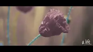 Thomas Lizzara - Changes