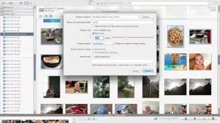 How to Bulk Resize Images in Picasa