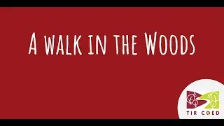 A walk in the woods with Emily  Wilson