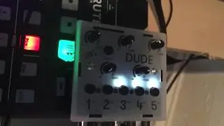 Got my BASTL DUDE in and hooked it up to my Drumbrute