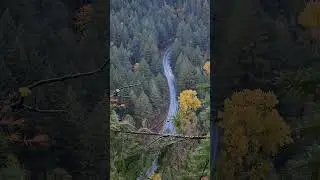 Hiking in the PNW 🌲
