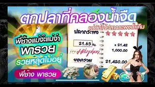 FISHING FIELD พี่ช้าง แม่จ๊ะ แม่จ๋า ไปตกปลาน้ำจืดแต่ได้ปลาน้ำเค็ม พี่ช้างพารวยหลุดไม่อยู่ #789LADY