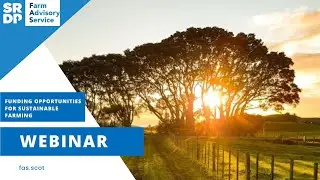 Funding Opportunities for Sustainable Farming