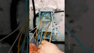 Сборка распределительных коробок #электромонтаж