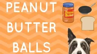 DIY Dog Treats | PEANUT BUTTER BALLS!!!