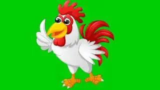 hen green screen video