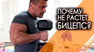 Why the biceps does not grow, one of the important reasons