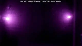 Beeeeees, not the beeees