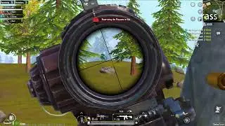 TL Sulman Montage 1