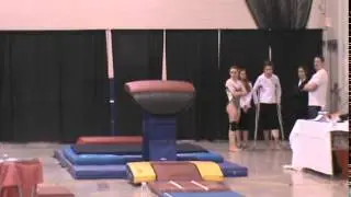 Emil Carless Level 10, Branch Gymnastics, Vault