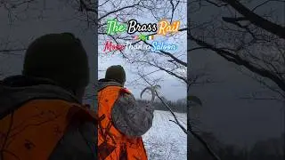 🦌My Version Of Your Summer Vacation #thebrassrail #deer #hunting