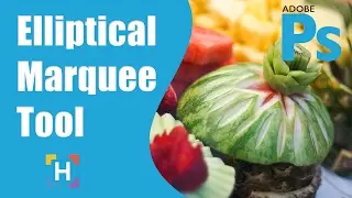How To Use The Photoshop Elliptical Marquee Tool - Selection Tools - HigherLearningLab.com