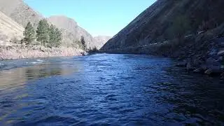 2021 Salmon River Jetboat Races - Riggins, Idaho - Boat 313