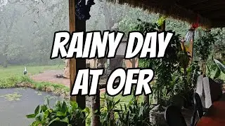 Rainy Day at OFR