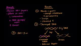 Are e-cigarettes safer than regular ones? | SJK Academy | Biomedical Science