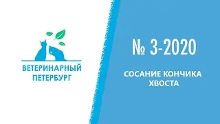 № 3-2020. Дерматология. Сосание кончика хвоста