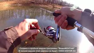 Щука & Стримеры