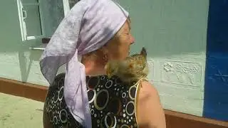 Дача, огород - круглый год.