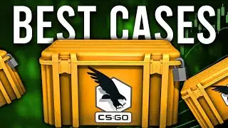 THE BEST CASE FOR LOW BUDGET IN CSGOCASES.COM ❄️