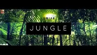 Lumian - Jungle (THANK YOU FOR 500 SUBS!!!!)