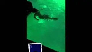 Logan Jude skinny dipping in Mammy and Pappys pool