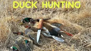 МОЯ ПЕРВАЯ УТИНАЯ ОХОТА | DUCK HUNTING | ОХОТА НА СЕЛЕЗНЯ