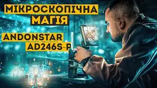 У глибини мікросвіту: відкриваємо нові горизонти з Andonstar AD246S-P