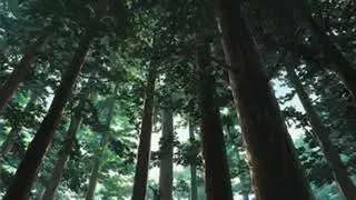 pavizha mazha (slowed + reverbed)