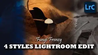 Fungi Frenzi 4 Styles Edit | Lightroom Classic