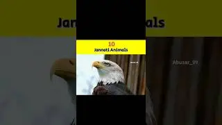10 Jannati Animals🐈 | Abuzar_99