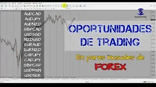 Análisis de 13 pares (minors) de Forex | Winpips