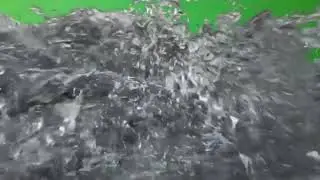 Фураж хвиля